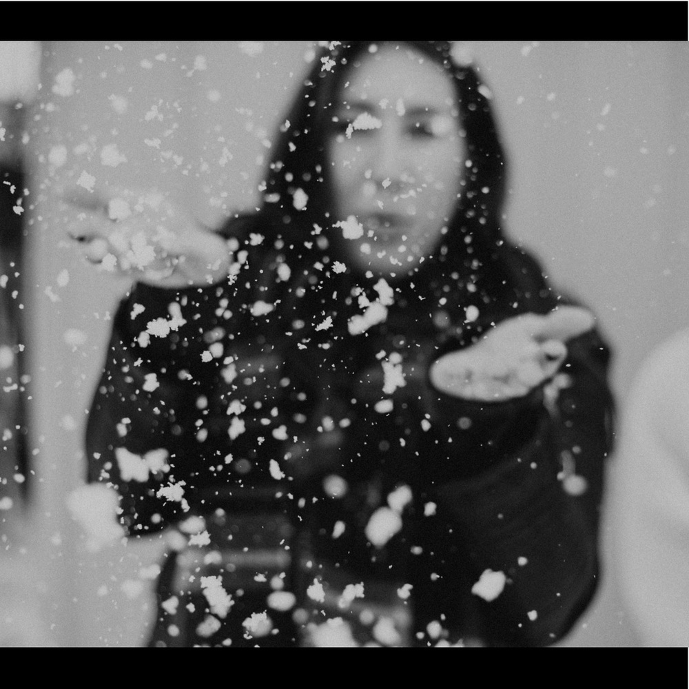 Meet your Posher, Lalauren